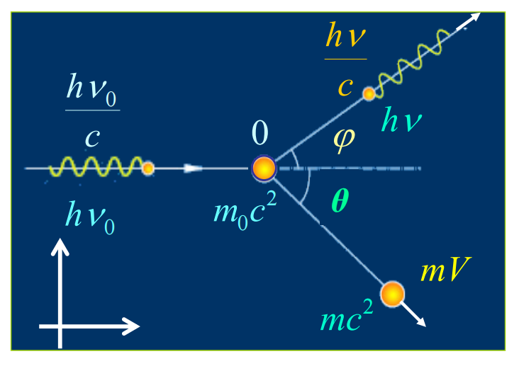 image-20241210112333251